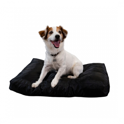 Panier chien - 75x50x10 cm